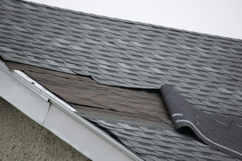 Asphalt Roof Repair Image 5