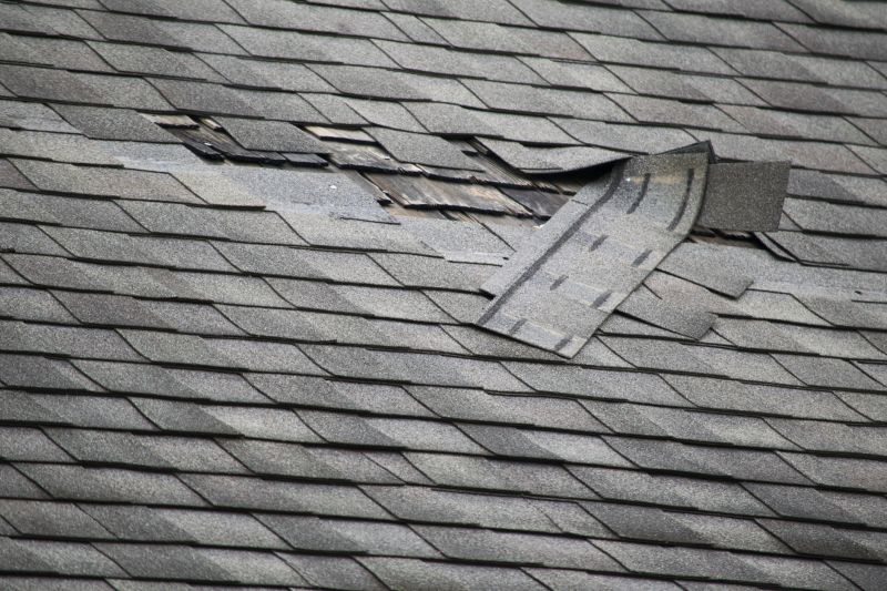 Asphalt Roof Repair Image 6